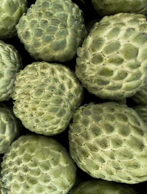 Cherimoya fruit, an antioxidant ingredient in Anti-Fatigue Hydrogel Eye Patches