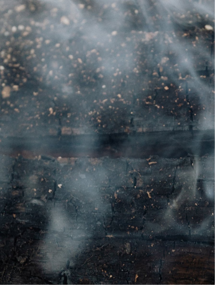 Smoky vetiver inspired mood for gloss conditioner hair care