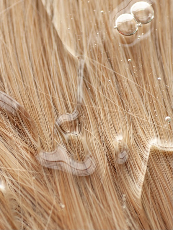 Gloss shampoo applied to wet hair before lathering