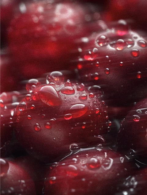 Botanical antioxidant-inspired concept symbolizing revitalizing care of glycolic acid exfoliating toner