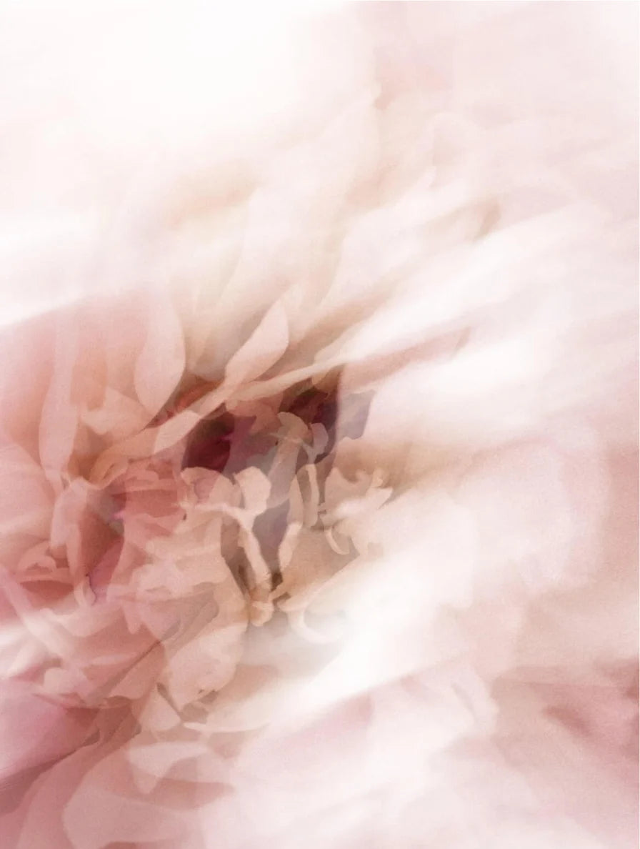 Soft floral concept representing gentle hydration and comforting care of hydrating facial serum