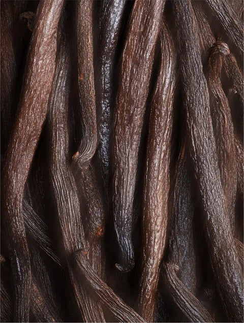 Vanilla botanical inspiration symbolizing softness, shine and smooth care in keratin leave-in hair mist