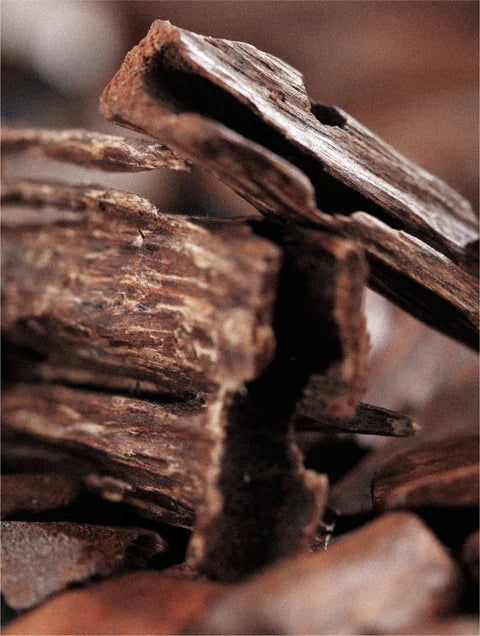 Warm woody fragrance notes used in keratin volume boost shampoo aroma composition
