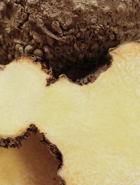 Amorphophallus Konjac root extract used in Lueur Beauté Anti-Age Hydrogel Eye Patches