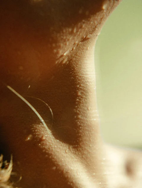 Close-up of facial skin with visible pores and fine hairs in warm sunlight.