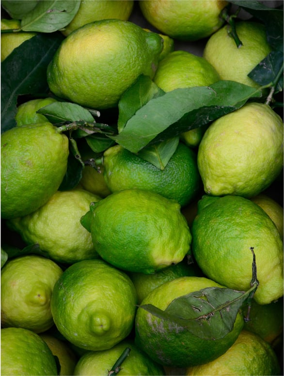 Fresh limes symbolizing refreshing hydration and revitalizing effect of prebiotic face mist