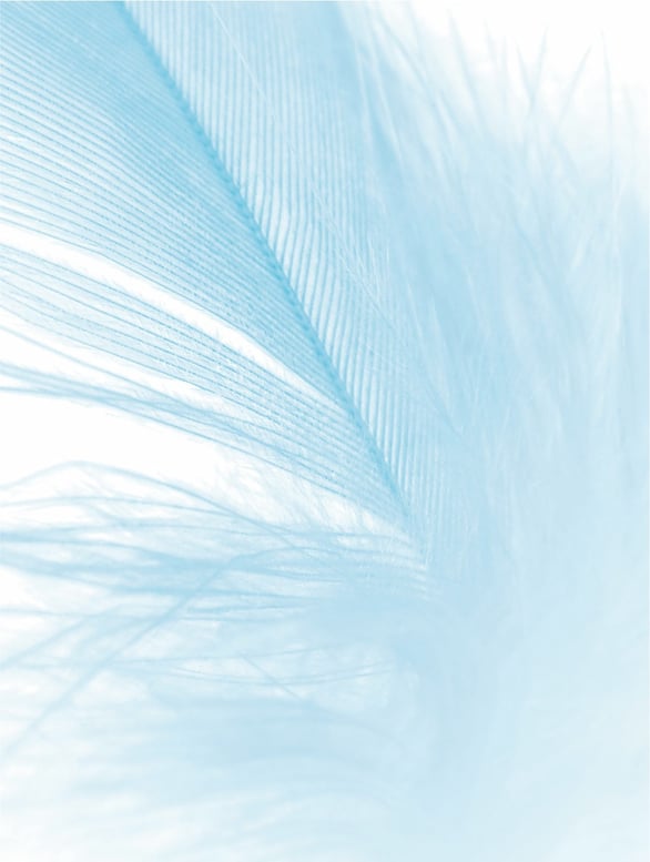 Soft and soothing mood inspired by sensitive skin moisturiser