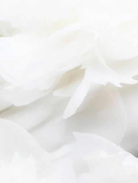 Soft creamy skincare texture with smooth nourishing finish
